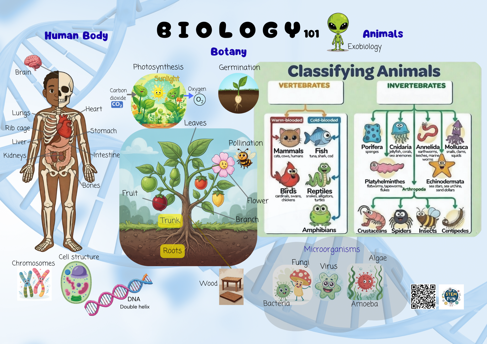 Kids doing a Biology jigsaw puzzle together